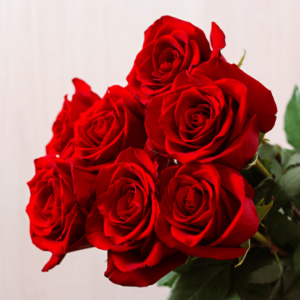 Attar Rose