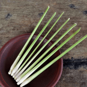 Lemon Grass Oil